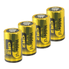 10XBATT-CR2