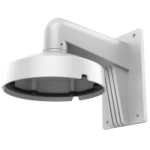 DS-1273ZJ-DM25-M1