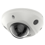 DS-2CD2543G2-IS(2.8mm)