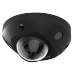 DS-2CD2543G2-IS(2.8mm)(BLACK)