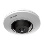 DS-2CD2935FWD-I(1.16mm)
