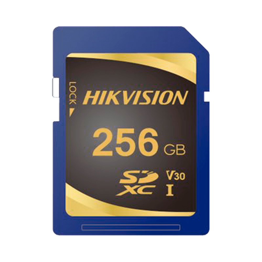 HS-SD-P10STD-256G