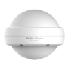 RG-EAP602