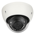 XS-D943W-8P4N1
