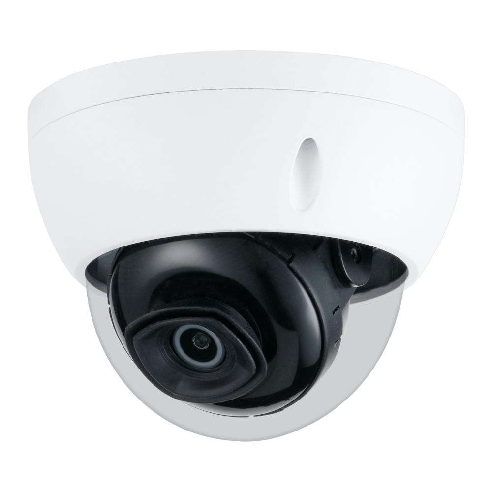XS-IPD842SW-2P-AI